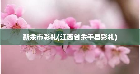 新余市彩礼(江西省余干县彩礼)