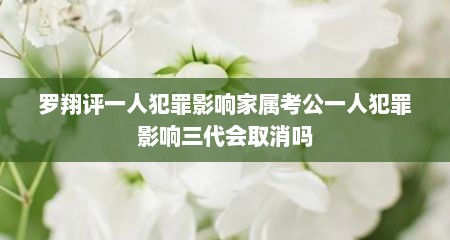 罗翔评一人犯罪影响家属考公一人犯罪影响三代会取消吗