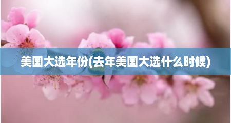 美国大选年份(去年美国大选什么时候)
