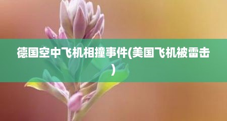 德国空中飞机相撞事件(美国飞机被雷击)