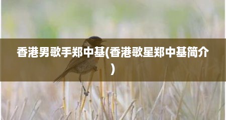 香港男歌手郑中基(香港歌星郑中基简介)