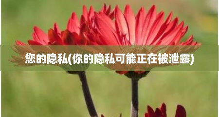 您的隐私(你的隐私可能正在被泄露)