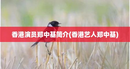 香港演员郑中基简介(香港艺人郑中基)