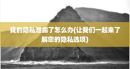 我的隐私泄露了怎么办(让我们一起来了解您的隐私选项)