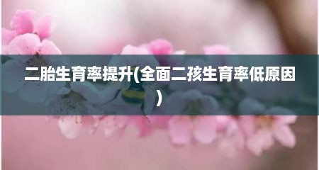 二胎生育率提升(全面二孩生育率低原因)