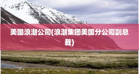 美国浪潮公司(浪潮集团美国分公司副总裁)