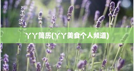 丫丫简历(丫丫美食个人频道)