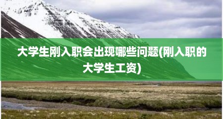 大学生刚入职会出现哪些问题(刚入职的大学生工资)
