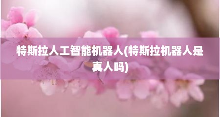 特斯拉人工智能机器人(特斯拉机器人是真人吗)