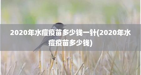 2020年水痘疫苗多少钱一针(2020年水痘疫苗多少钱)