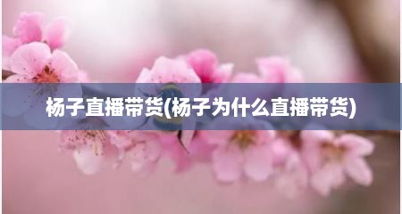 杨子直播带货(杨子为什么直播带货)