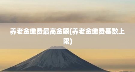 养老金缴费最高金额(养老金缴费基数上限)