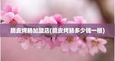 脆皮烤肠加盟店(脆皮烤肠多少钱一根)