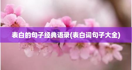 表白的句子经典语录(表白词句子大全)