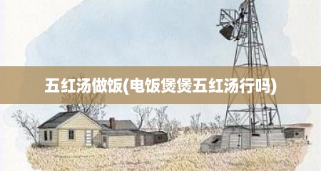 五红汤做饭(电饭煲煲五红汤行吗)