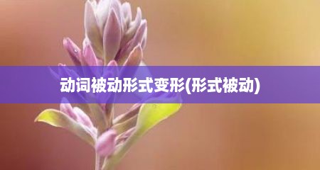 动词被动形式变形(形式被动)