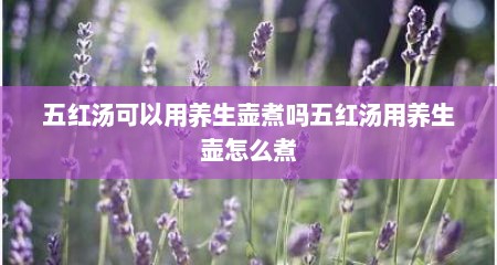 五红汤可以用养生壶煮吗五红汤用养生壶怎么煮
