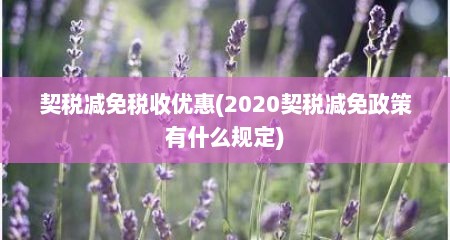 契税减免税收优惠(2020契税减免政策有什么规定)