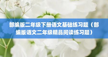 部编版二年级下册语文基础练习题（部编版语文二年级精品阅读练习题）