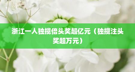 浙江一人独揽倍头奖超亿元（独揽注头奖超万元）