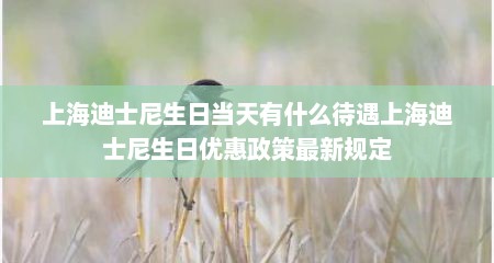 上海迪士尼生日当天有什么待遇上海迪士尼生日优惠政策最新规定