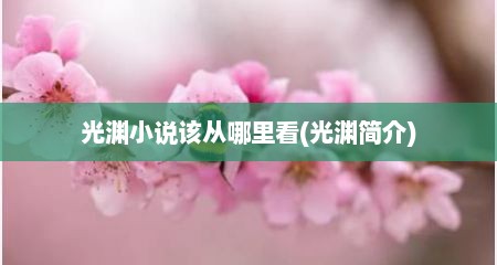 光渊小说该从哪里看(光渊简介)