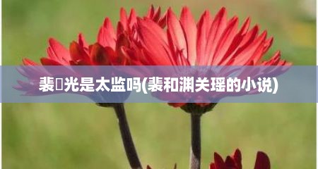裴佪光是太监吗(裴和渊关瑶的小说)