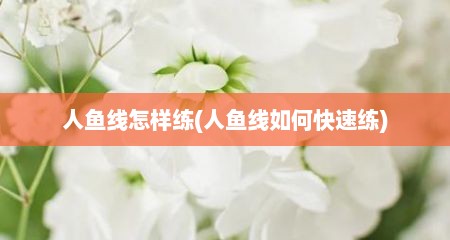 人鱼线怎样练(人鱼线如何快速练)