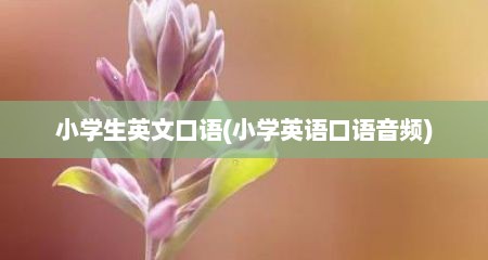 小学生英文口语(小学英语口语音频)