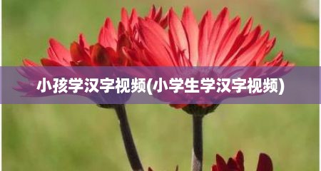 小孩学汉字视频(小学生学汉字视频)
