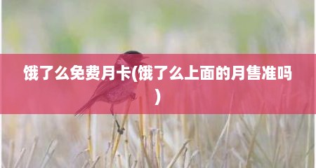 饿了么免费月卡(饿了么上面的月售准吗)