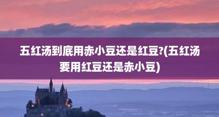 五红汤到底用赤小豆还是红豆?(五红汤要用红豆还是赤小豆)