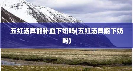 五红汤真能补血下奶吗(五红汤真能下奶吗)