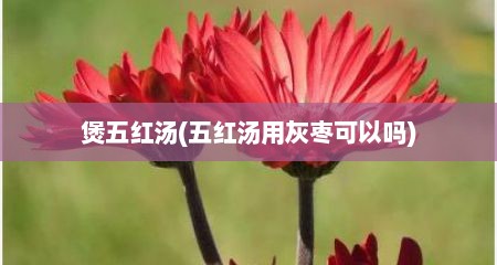 煲五红汤(五红汤用灰枣可以吗)