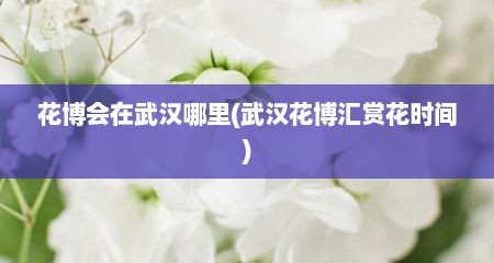 花博会在武汉哪里(武汉花博汇赏花时间)
