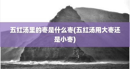 五红汤里的枣是什么枣(五红汤用大枣还是小枣)
