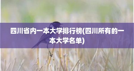 四川省内一本大学排行榜(四川所有的一本大学名单)