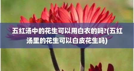 五红汤中的花生可以用白衣的吗?(五红汤里的花生可以白皮花生吗)