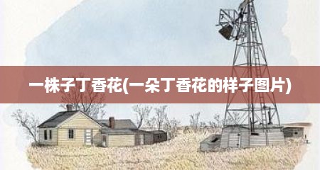 一株子丁香花(一朵丁香花的样子图片)