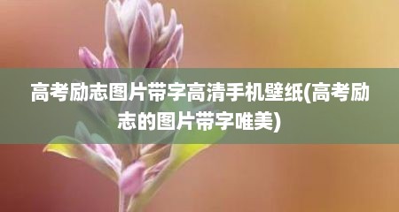 高考励志图片带字高清手机壁纸(高考励志的图片带字唯美)