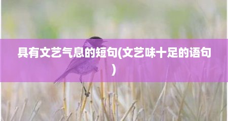 具有文艺气息的短句(文艺味十足的语句)