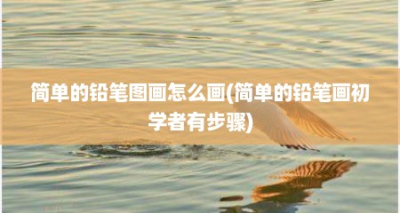 简单的铅笔图画怎么画(简单的铅笔画初学者有步骤)