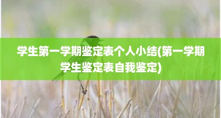 学生第一学期鉴定表个人小结(第一学期学生鉴定表自我鉴定)