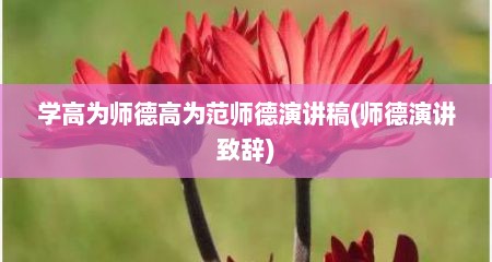 学高为师德高为范师德演讲稿(师德演讲致辞)