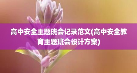 高中安全主题班会记录范文(高中安全教育主题班会设计方案)