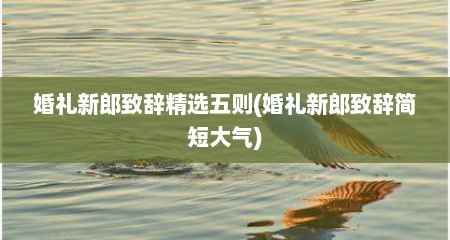 婚礼新郎致辞精选五则(婚礼新郎致辞简短大气)