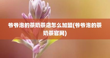 爷爷泡的茶奶茶店怎么加盟(爷爷泡的茶奶茶官网)