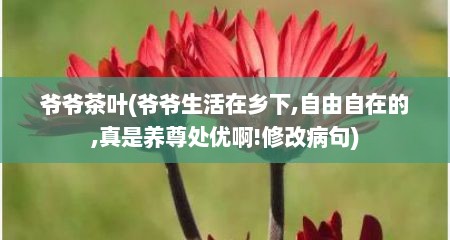 爷爷茶叶(爷爷生活在乡下,自由自在的,真是养尊处优啊!修改病句)