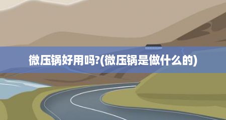 微压锅好用吗?(微压锅是做什么的)