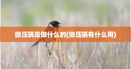 微压锅是做什么的(微压锅有什么用)